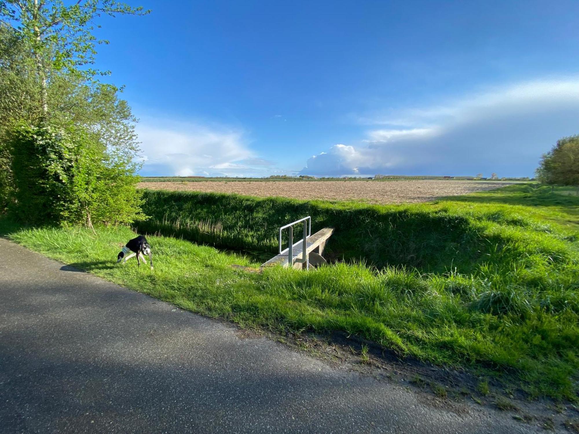 Vakantiewoning Westkaap Westkapelle Eksteriør bilde